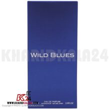 ادو پرفیوم مردانه فراگرنس ورد مدل Wild Blues حجم 115 میلی لیتر ( عکس 2 )